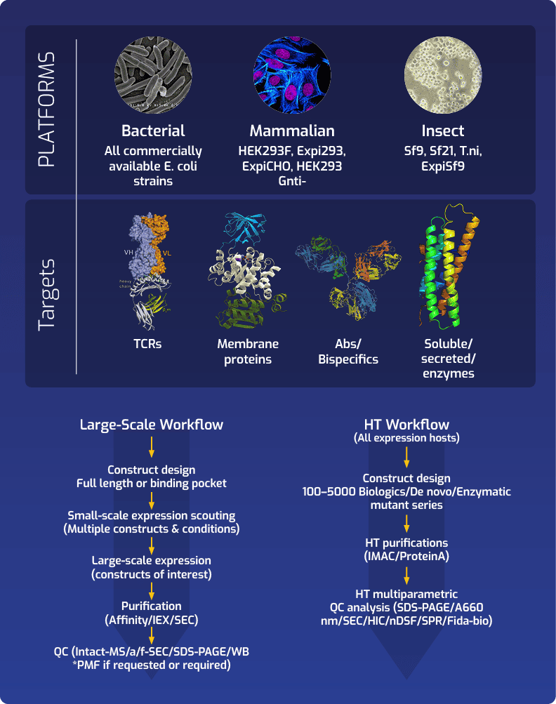 protein science NEW