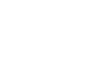 Arctoris-cropped logo