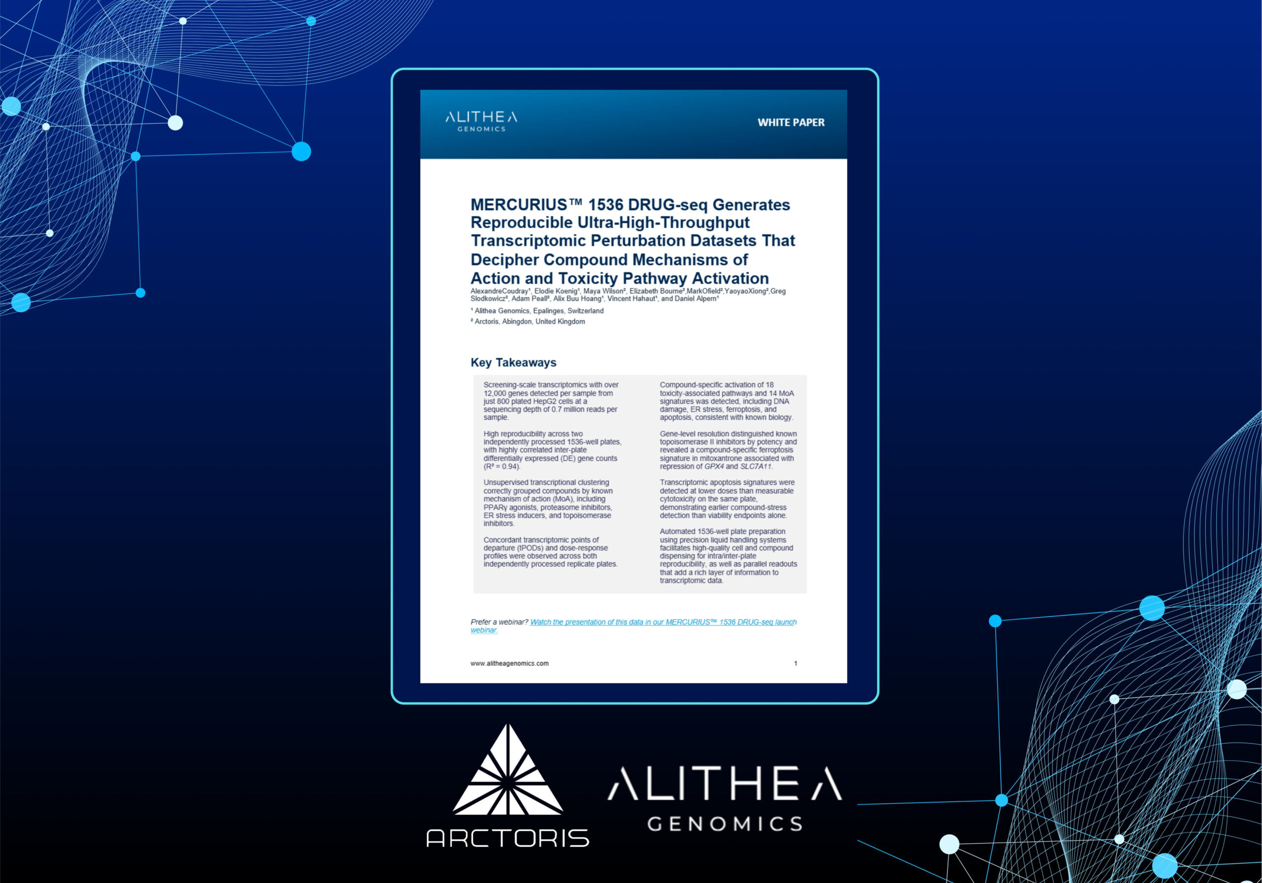 New Whitepaper (4)